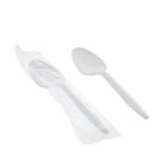 Plastic Spoon – 1573881