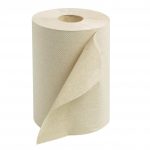Paper Towel Dispenser Roll Earth+ 5767173