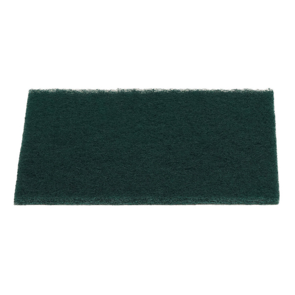 Pad Scour General Purpose 6" X 9" 5181904